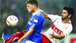 20h30 ngày 6/8, Stuttgart - Schalke: Hồn xiêu phách lạc
